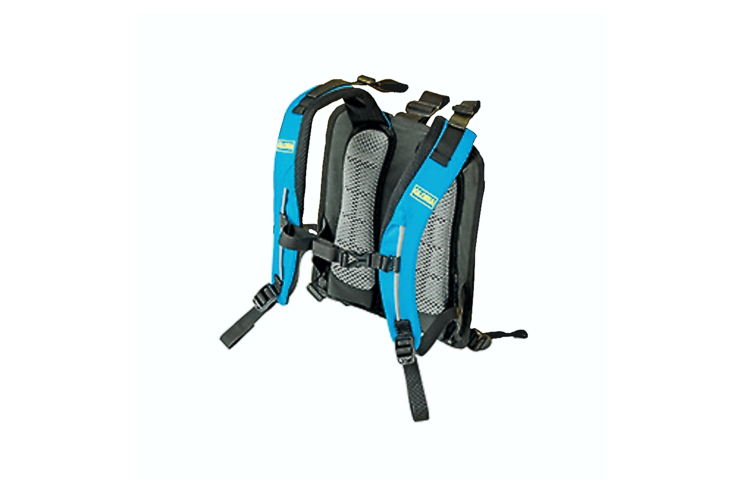 Carrying device